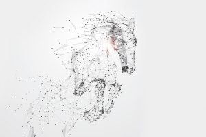 Wir bringen euch aufs digitale Pferd!